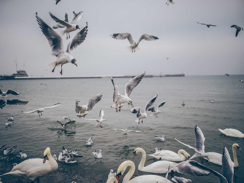 sudoku strategy guide screenshot 1